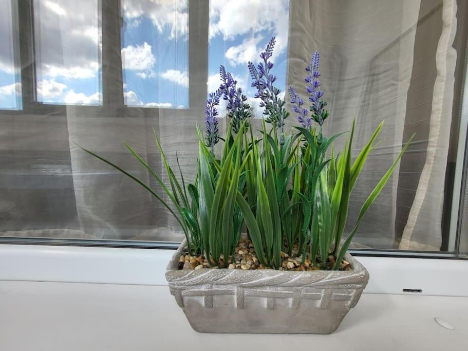 Bright City Apartment Varna Luaran gambar